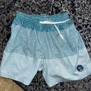 Chubbies 5.5 inch swim shorts